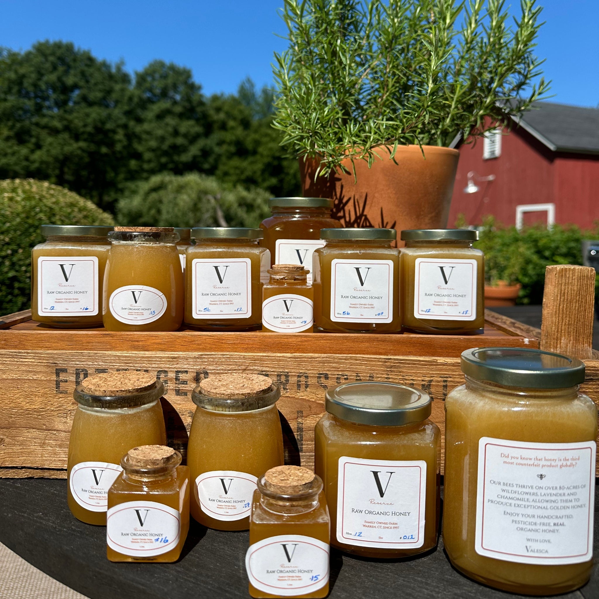 V Réserve Raw Honey
